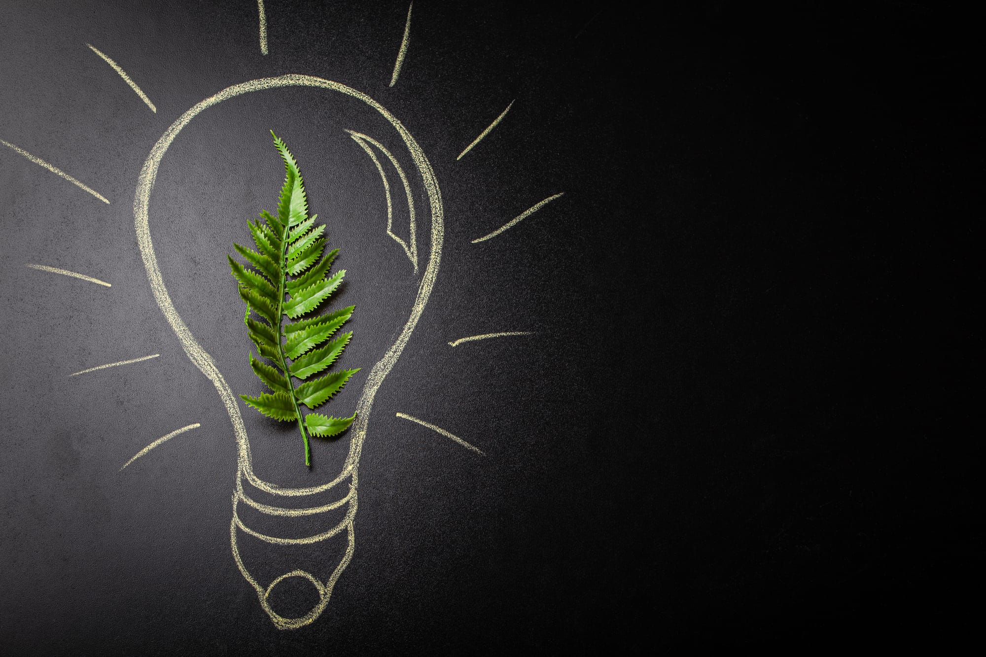 Sustainable Event Planning: Set & Measure Green Goals with isla