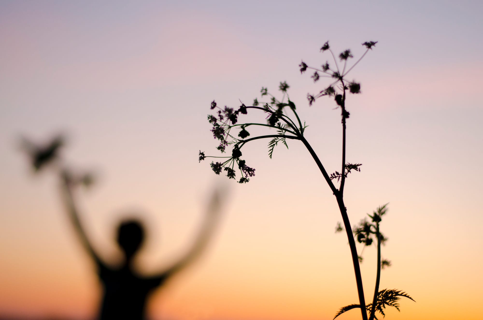 Blog post feature image